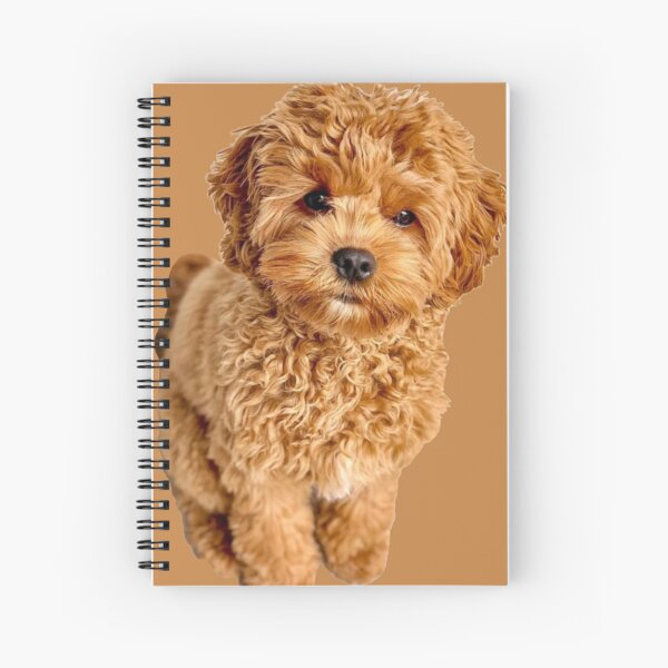 Vista previa del artículo con la obra «Cavapoo», diseñado y vendido por thecavapootales.