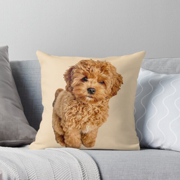 Item preview, Cavapoo designed and sold by thecavapootales.