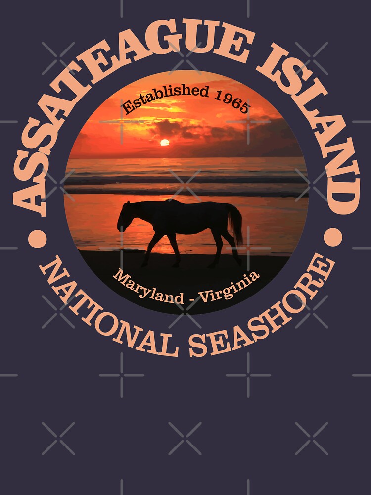 "Assateague Island National Seashore (NP)" Tshirt by