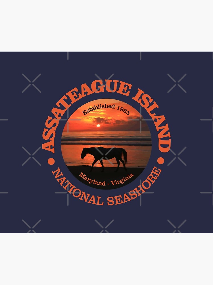 "Assateague Island National Seashore (NP)" Comforter for Sale by