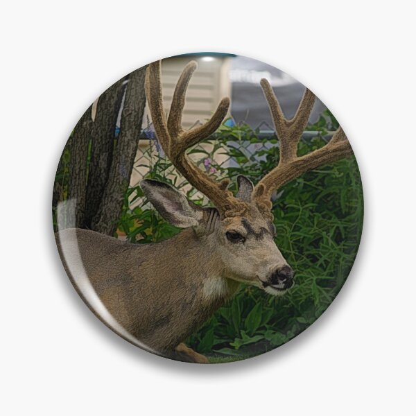 Item preview, Deer in the backyard designed and sold by CanadianWild418.