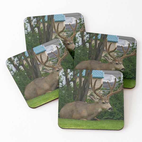Item preview, Deer in the backyard designed and sold by CanadianWild418.