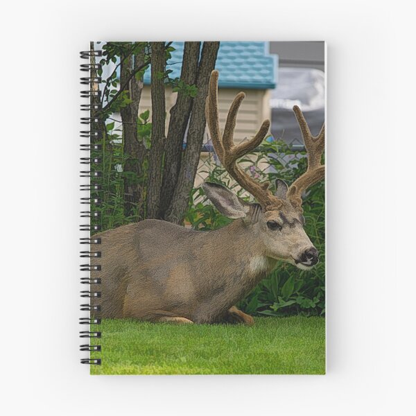 Item preview, Deer in the backyard designed and sold by CanadianWild418.