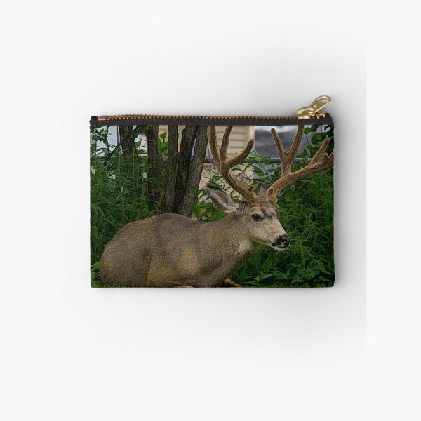 Item preview, Deer in the backyard designed and sold by CanadianWild418.