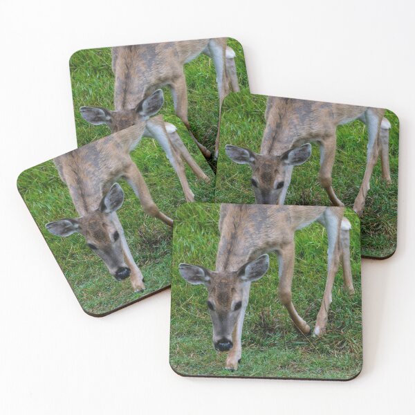 Item preview, White tailed deer designed and sold by CanadianWild418.