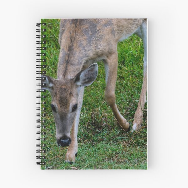 Item preview, White tailed deer designed and sold by CanadianWild418.