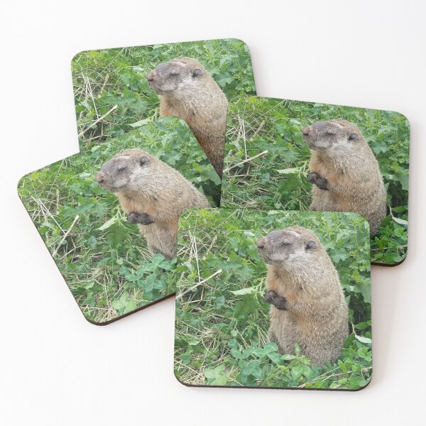Item preview, Elderly Groundhog designed and sold by MooseDogPhotos.