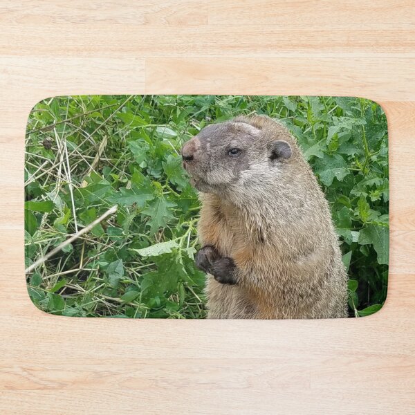 Item preview, Elderly Groundhog designed and sold by MooseDogPhotos.