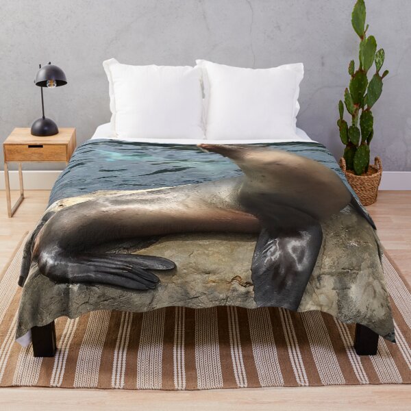Item preview, Cute Posing Sea Lion designed and sold by AestheticNerd15.