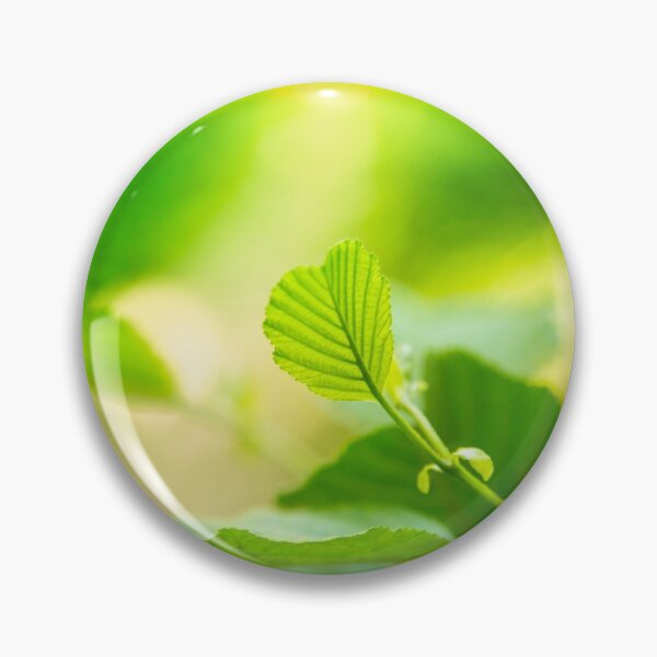 Item preview, Green leaf and reflection, nature photography designed and sold by Stéphane  Thirion.