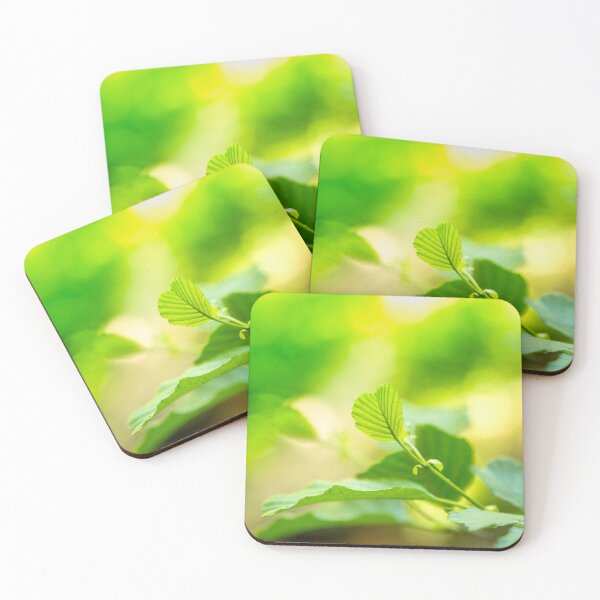 Item preview, Green leaf and reflection, nature photography designed and sold by Stéphane  Thirion.