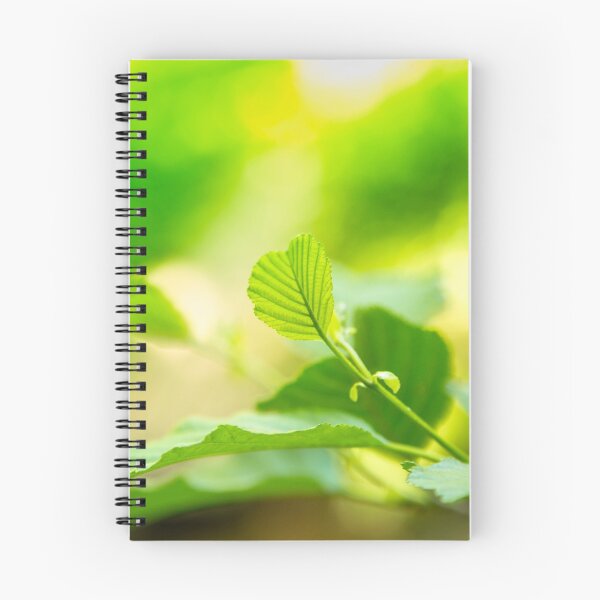 Item preview, Hoja verde y reflexión, fotografía de naturaleza. designed and sold by Stéphane Thirion.