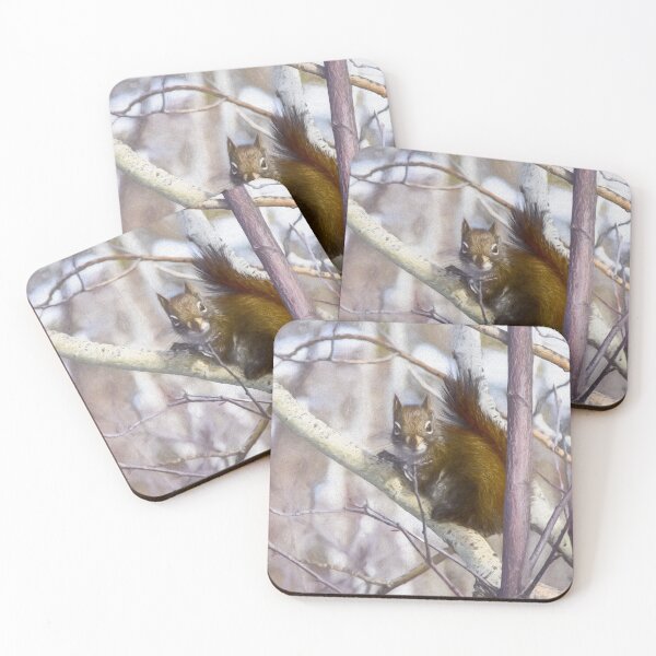 Item preview, Red squirrel. "You looking at me." designed and sold by CanadianWild418.