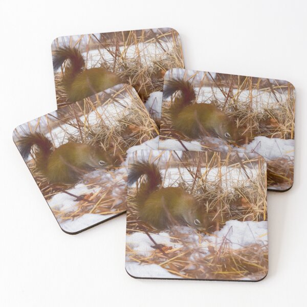 Item preview, Red squirrel illustration designed and sold by CanadianWild418.