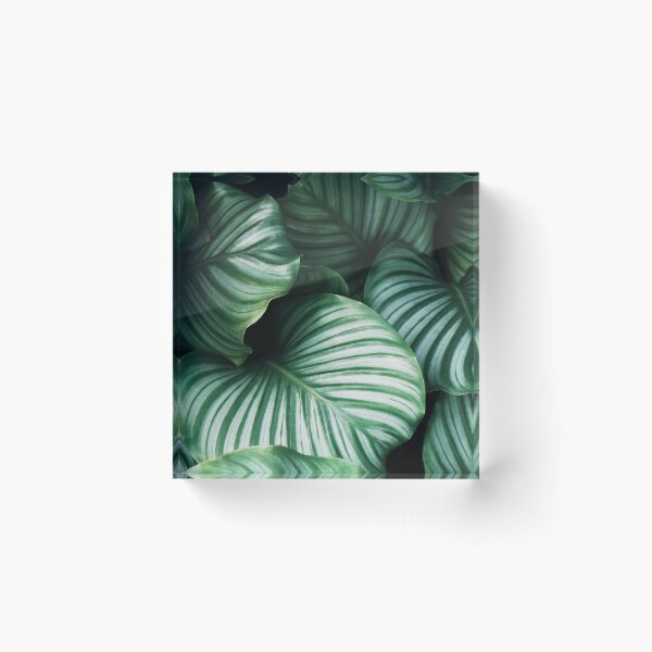 Item preview, Dark Green Case Cover || Green Case  designed and sold by Jessi Review.