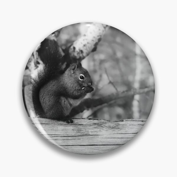 Item preview, Red squirrel in black and white designed and sold by CanadianWild418.