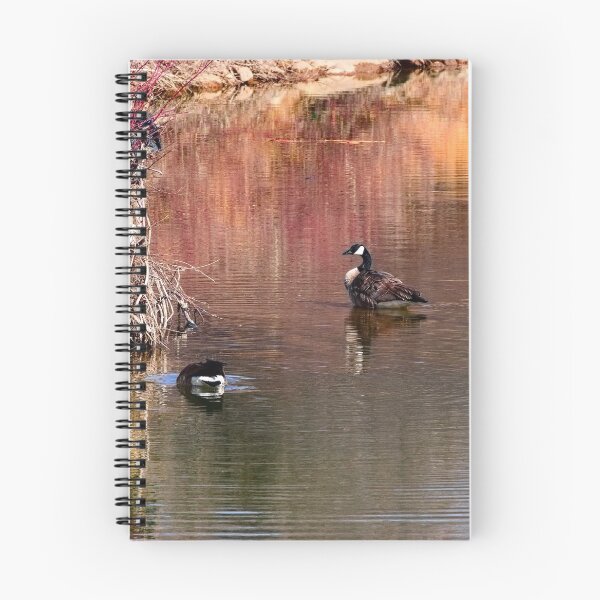 Item preview, Canada geese on the pond. designed and sold by CanadianWild418.