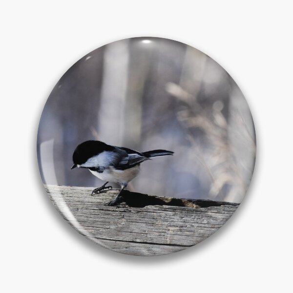 Item preview, Western Canadian Chickadee. designed and sold by CanadianWild418.