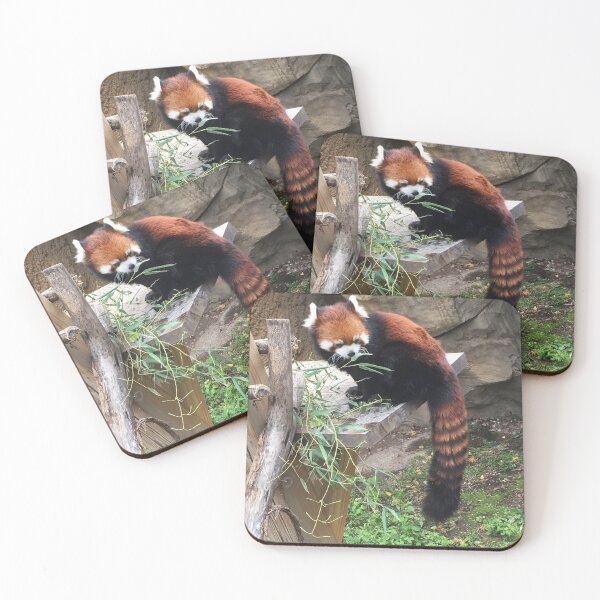 Item preview, Adorable Red Panda Eating designed and sold by AestheticNerd15.