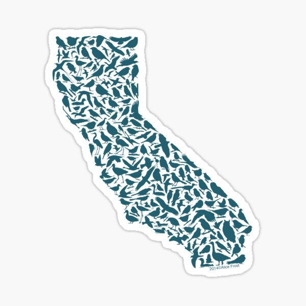 California Birds Art Sticker