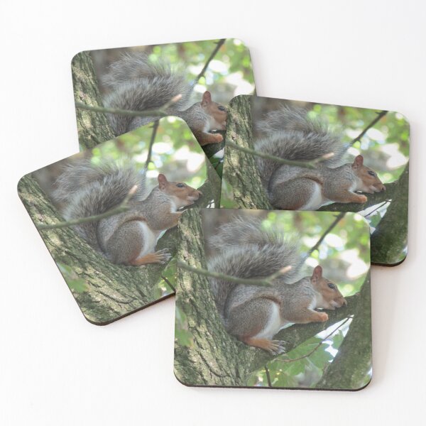 Item preview, Treehugging squirrel. designed and sold by joshuarainbird.