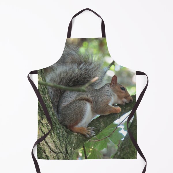 Item preview, Treehugging squirrel. designed and sold by joshuarainbird.