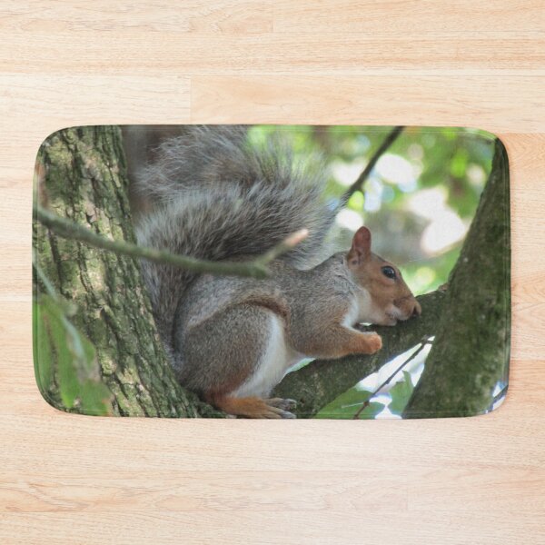Item preview, Treehugging squirrel. designed and sold by joshuarainbird.