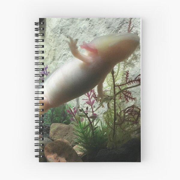 Item preview, Swimming Axolotl designed and sold by AestheticNerd15.