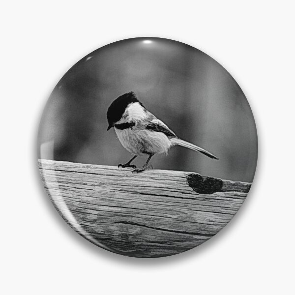Item preview, Chickadee in black and white designed and sold by CanadianWild418.