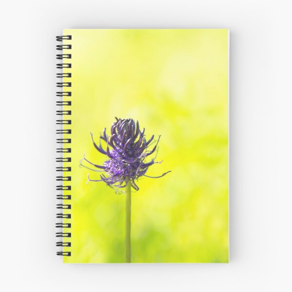 Item preview, Purple flower on green background, nature photography designed and sold by Stéphane  Thirion.