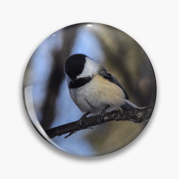 Item preview, Chickadee on the trail designed and sold by CanadianWild418.