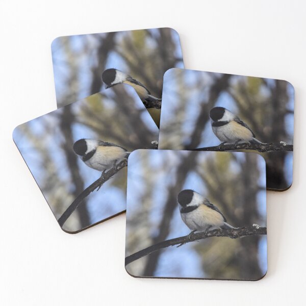 Item preview, Chickadee on the trail designed and sold by CanadianWild418.