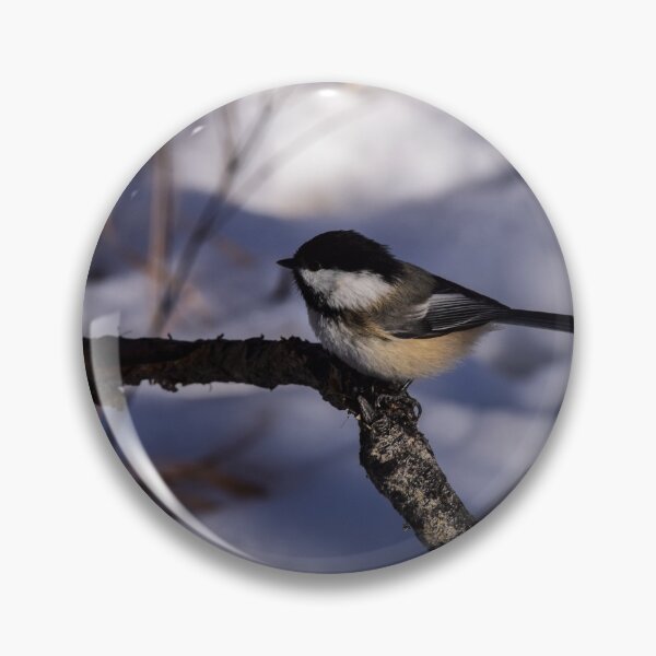 Item preview, Chickadee on a branch designed and sold by CanadianWild418.
