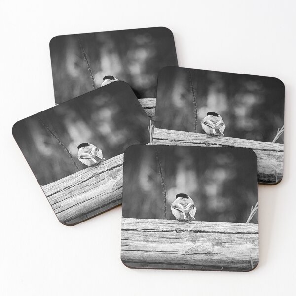 Item preview, Chickadee on the fence in black and white. designed and sold by CanadianWild418.
