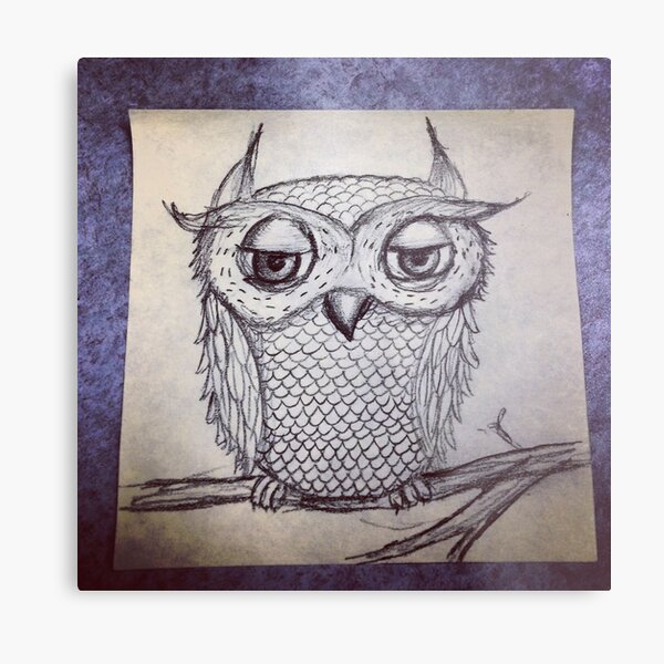 Judgmental Owl Metal Print