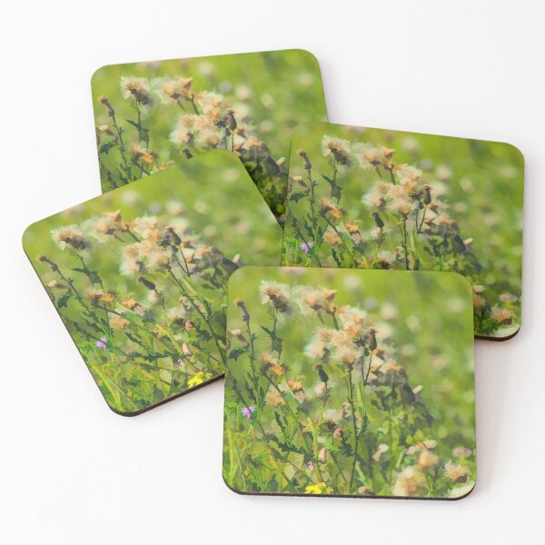 Item preview, Wildflower illustration designed and sold by CanadianWild418.
