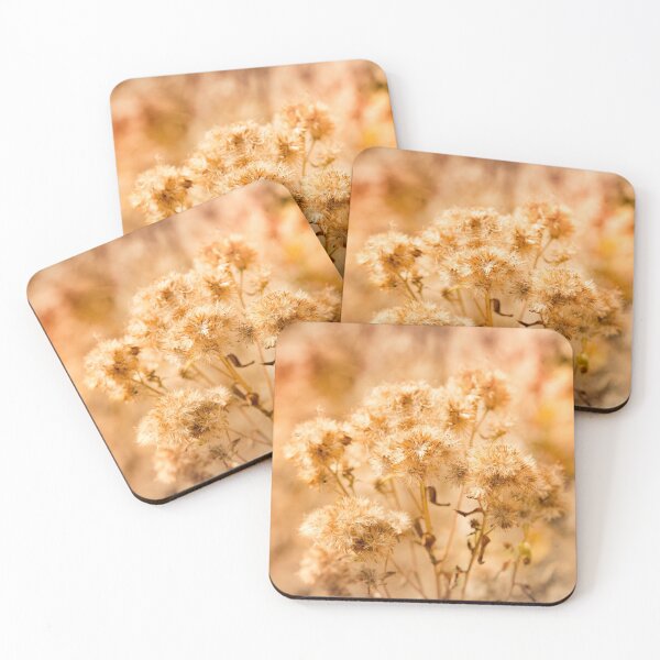 Item preview, Dried flower and gradient sunset designed and sold by Stéphane  Thirion.