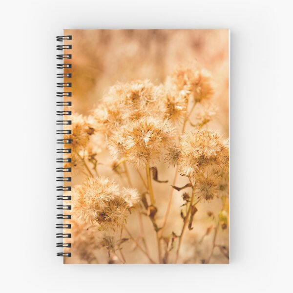 Item preview, Dried flower and gradient sunset designed and sold by Stéphane  Thirion.