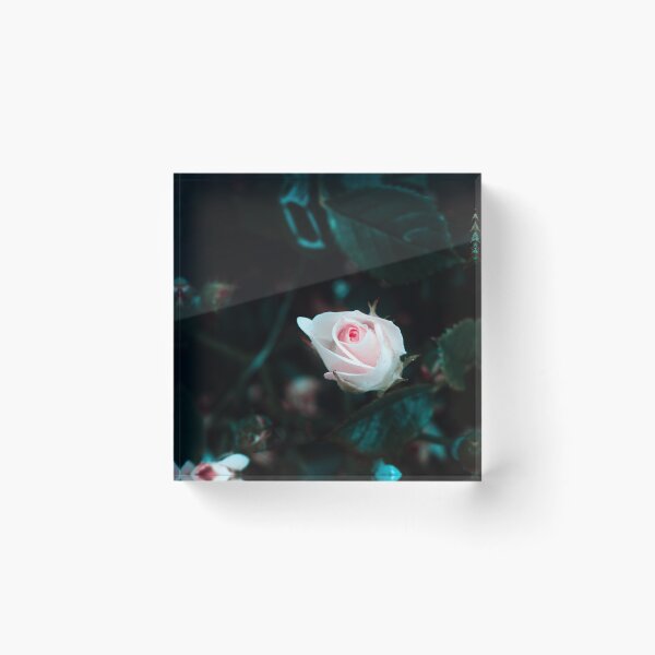 Item preview, Rose in the Dark - macro photography  designed and sold by JuicyJulsy.