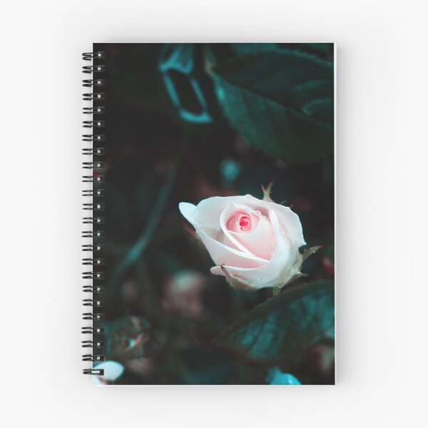 Item preview, Rose in the Dark - macro photography  designed and sold by JuicyJulsy.