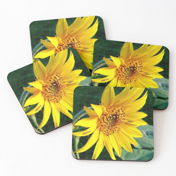 Item preview, Sunshine in a Flower designed and sold by Rebecca Jane.
