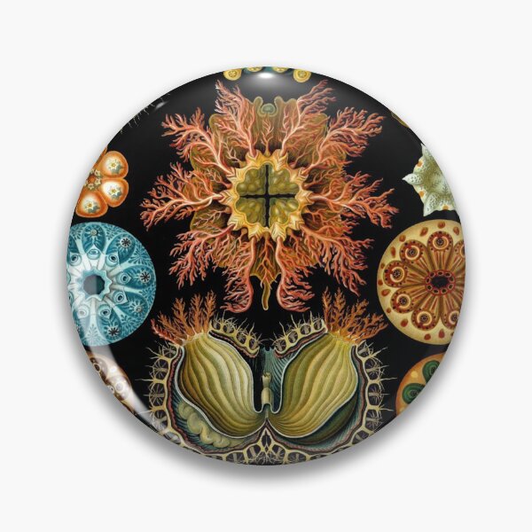 Item preview, Haeckel Ascidiae designed and sold by honeyblack.