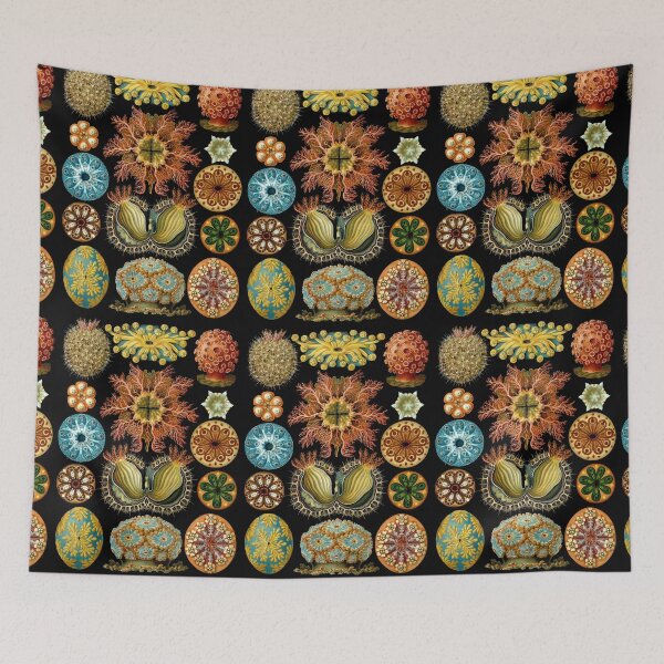 Item preview, Haeckel Ascidiae designed and sold by honeyblack.