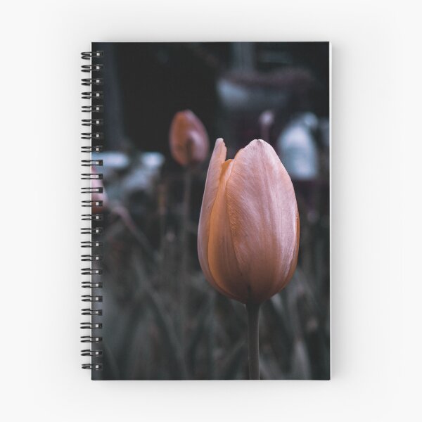 Item preview, Beautiful Tulipan - macro photography designed and sold by JuicyJulsy.
