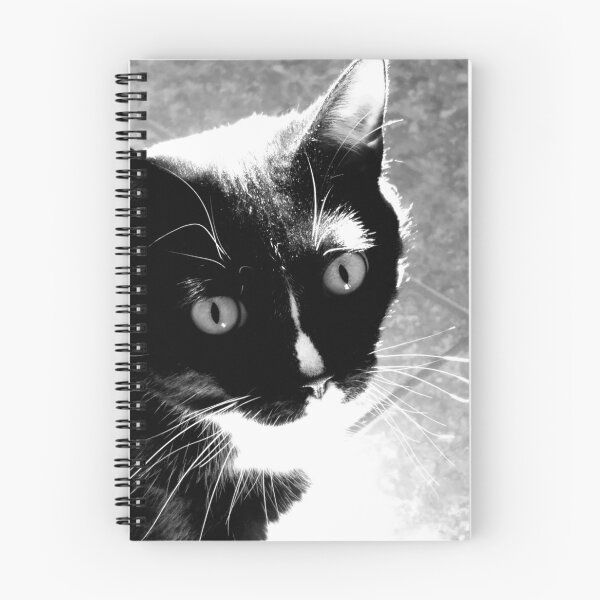 Item preview, Sweet Tuxedo Cat designed and sold by Rebecca Jane.