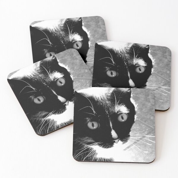 Item preview, Sweet Tuxedo Cat designed and sold by Rebecca Jane.