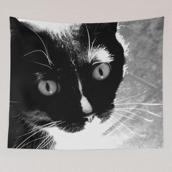 Item preview, Sweet Tuxedo Cat designed and sold by Rebecca Jane.