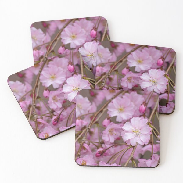Item preview, Cherry Blossom Bloom Pink designed and sold by bittervictory.