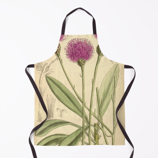 Item preview, Centaurea crassifolia 139 8508 designed and sold by EsotericBotanic.