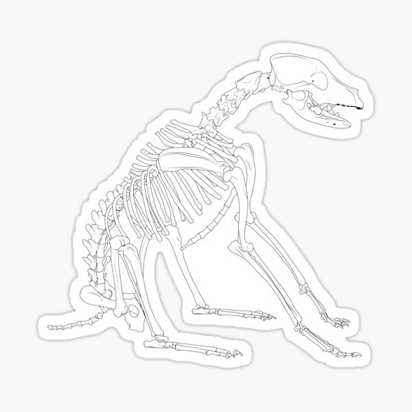 Hatch Sticker